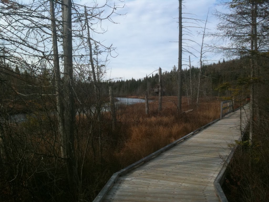 Base De Plein Air La Decouverte 10 Rue De La Decouverte Quebec Qc G3k 1w6 Canada Base De Plein Air La Decouverte 10 Rue De La Decouverte Quebec Qc G3k 1w6 Canada