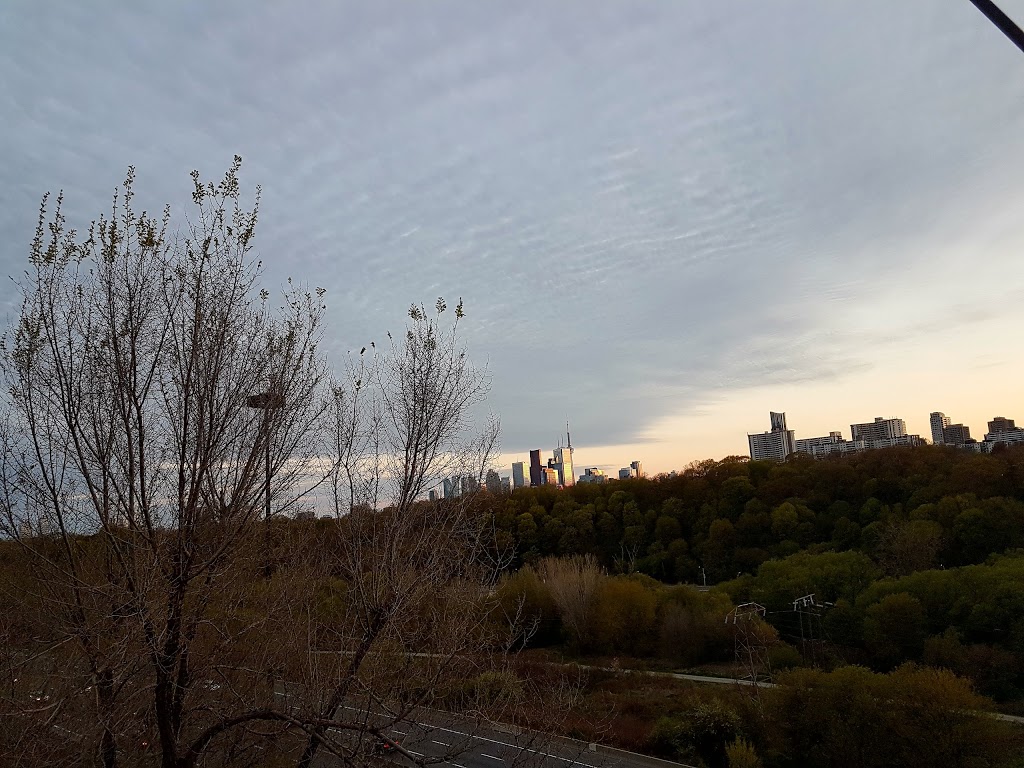 Playter Gardens | 2L1, 4 Cambridge Ave, Toronto, ON M4K 2L1, Canada | Phone: (416) 338-4386