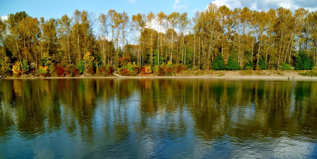 Fort Langley Golf Course | 9782 McKinnon Crescent, Langley City, BC V1M 3V6, Canada | Phone: (604) 888-5911