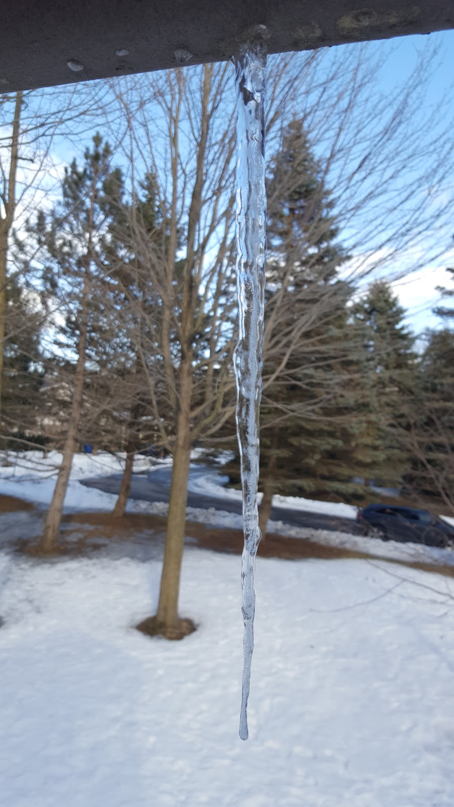 Parc des Bouleaux | 1680 Rue du Parc, Saint-Bruno-de-Montarville, QC J3V 4L9, Canada