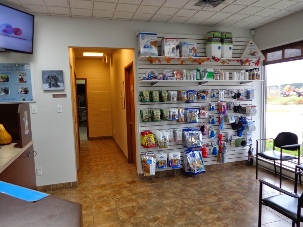 Clinique Vétérinaire de Coaticook | 490 Rue Main O, Coaticook, QC J1A 1P9, Canada | Phone: (819) 849-4865