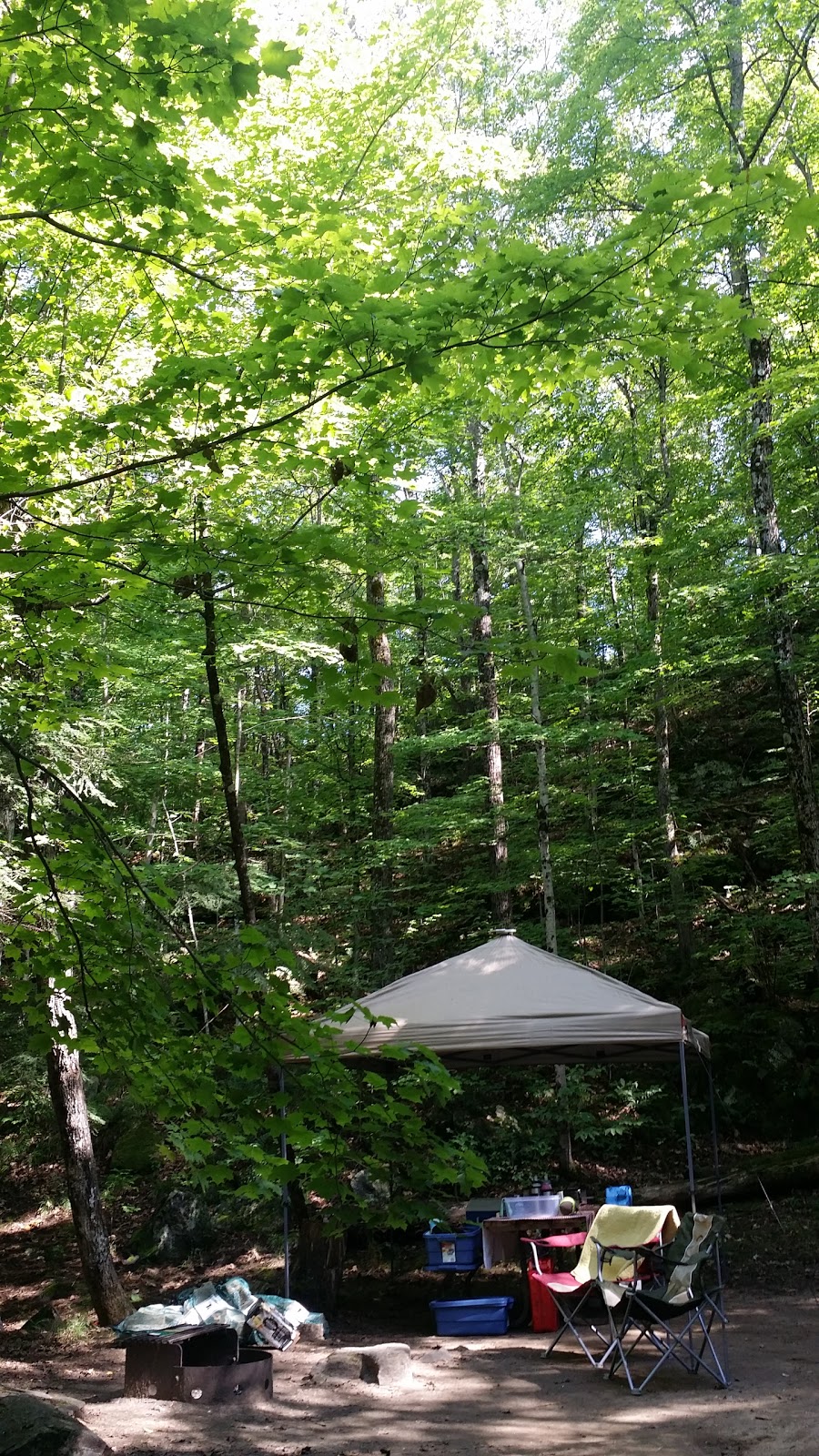 Sharbot Lake Marina | 1008 Cannon Rd, Sharbot Lake, ON K0H 2P0, Canada | Phone: (613) 279-2952