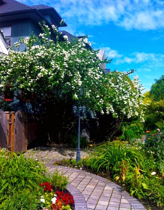 Manor Guest House | 387 W 13th Ave, Vancouver, BC V5Y 1W2, Canada | Phone: (604) 876-8494