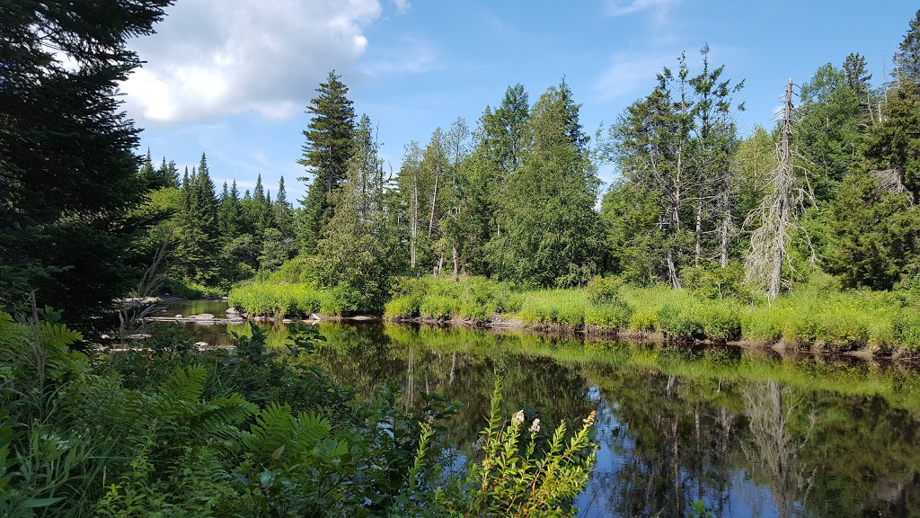 Silvio O. Conte National Fish and Wildlife Refuge - Nulhegan Bas | 5396 VT-105, Brunswick, VT 05905, USA | Phone: (802) 962-5240