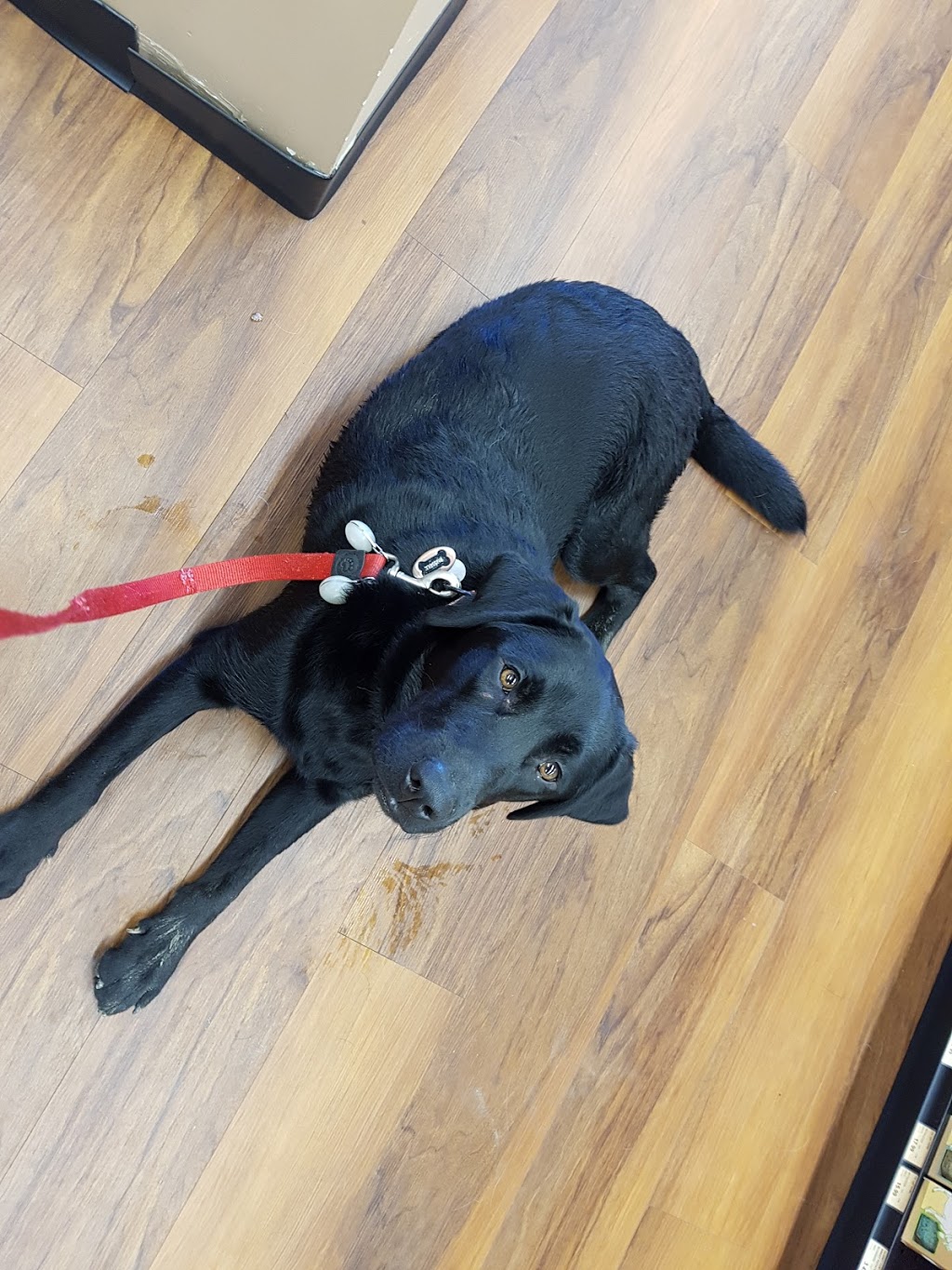 Bosleys by Pet Valu | 20202 66 Ave, Langley Twp, BC V2Y 1P3, Canada | Phone: (778) 277-2705