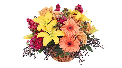 Sweet Stems Inc | florist | 355 Main Rd, Goulds, NL A1S 1G3, Canada | 7093687836 OR +1 709-368-7836