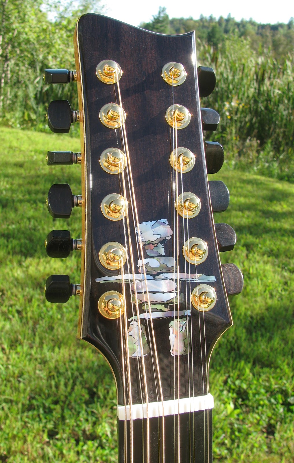 Guitares Pellerin Enr (Les) | 1244 Route Saint Désire, Thetford Mines, QC G6H 1M6, Canada | Phone: (418) 335-9471