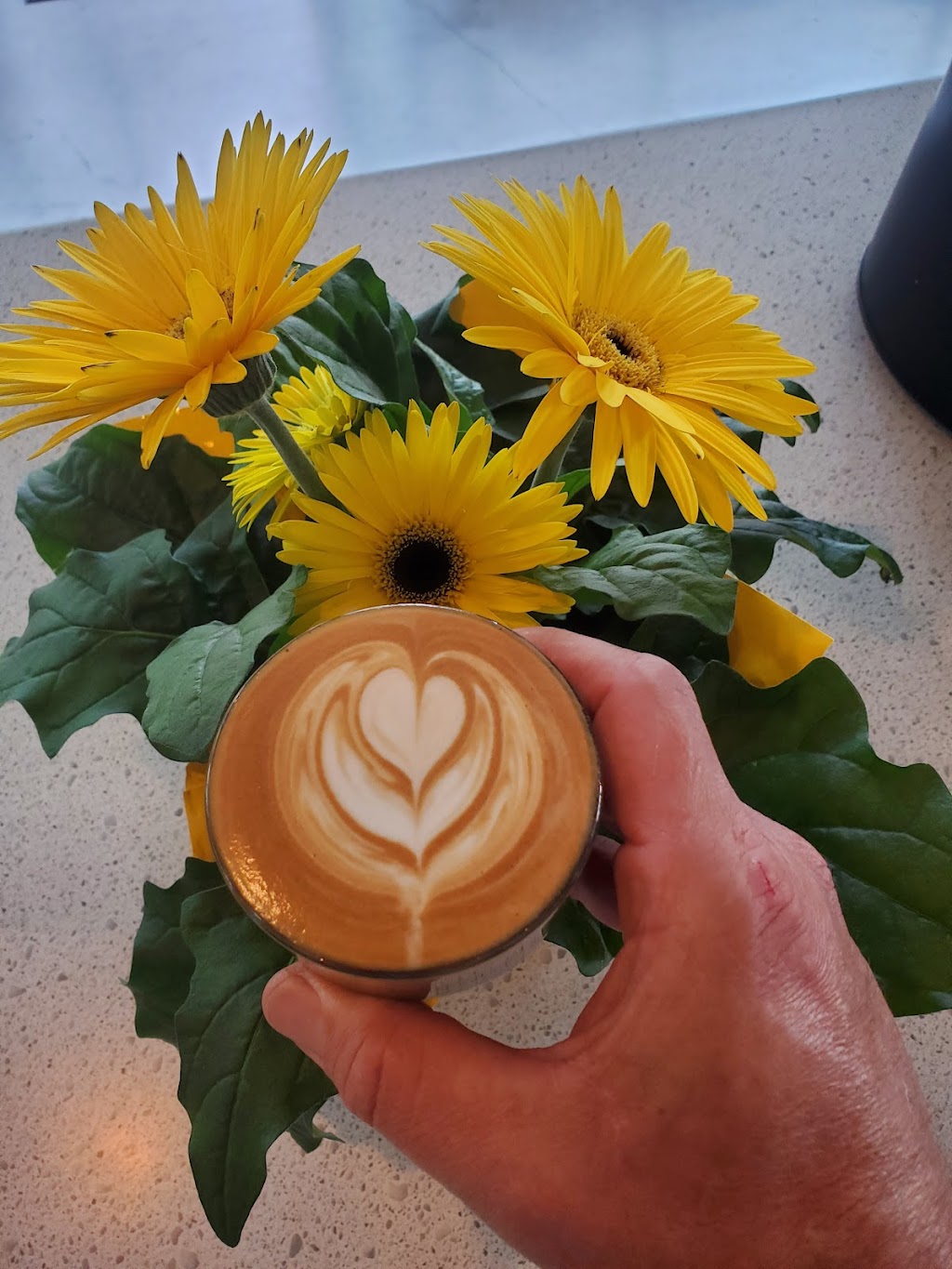Milano Coffee Courtenay | 2525 Mission Rd #1130, Courtenay, BC V9N 9H1, Canada | Phone: (250) 871-6688