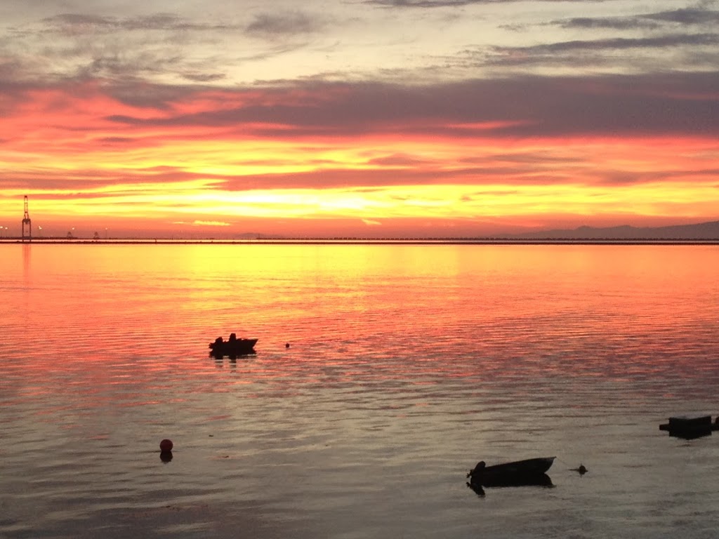 OceanStar Beachfront Bed and Breakfast | 94 Tsawwassen Beach Rd, Delta, BC V4M 2J2, Canada | Phone: (604) 341-3745