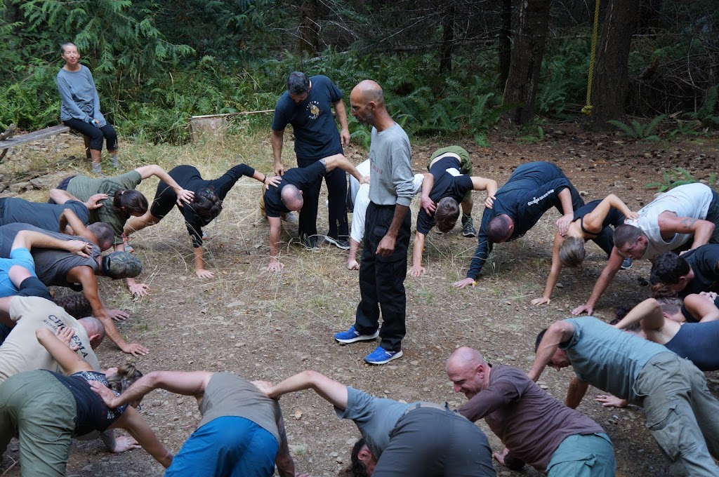 Roots Dojo | 5291 Denman Rd, Denman Island, BC V0R 1T0, Canada | Phone: (250) 218-8097