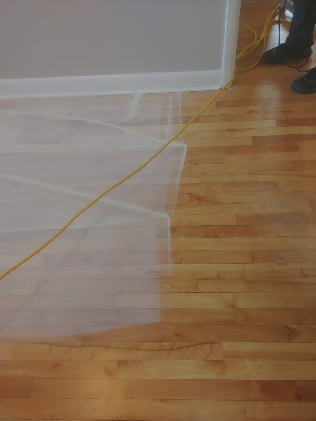 4 seasons carpet cleaning | 111 Colonnade Rd unit 204, Ottawa, ON K2E 7M3, Canada | Phone: (613) 321-3454