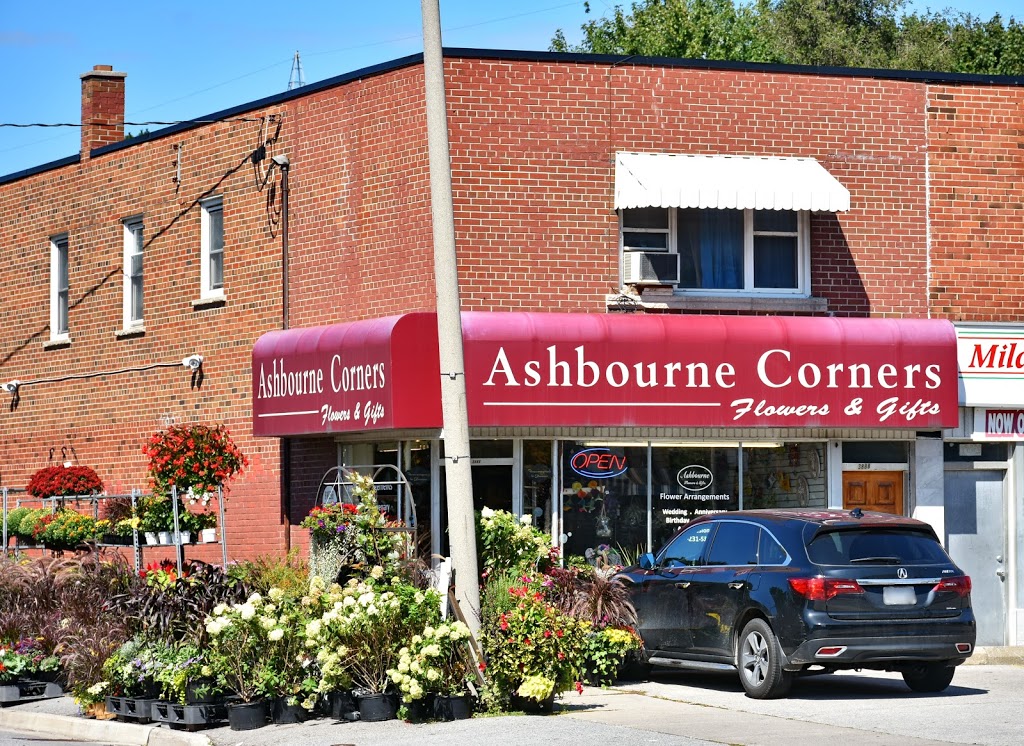 Ashbourne Flowers and Gifts | 3888 Bloor St W, Etobicoke, ON M9B 1L3, Canada | Phone: (416) 231-5351
