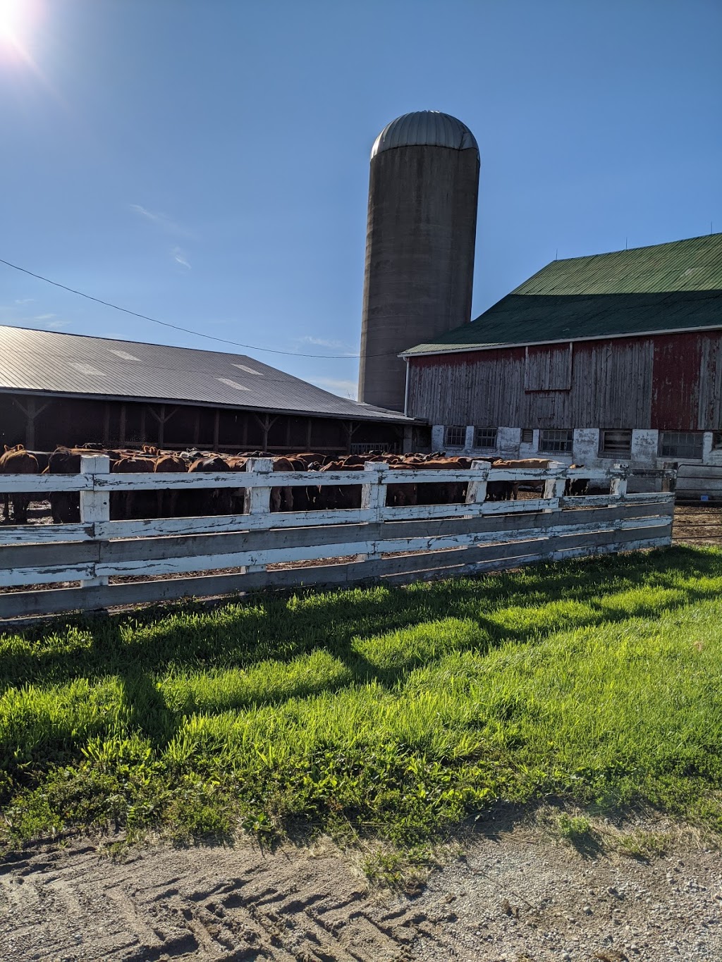 Edencrest Farms | 2904 Rainbow Valley Rd W, Minesing, ON L9X 1G5, Canada | Phone: (705) 737-2491