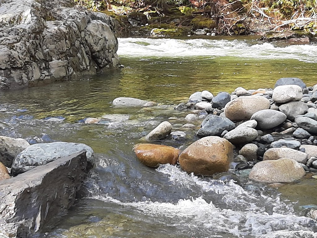Englishman River Falls (Upper Falls) | Nanaimo F, BC V0R, Canada | Phone: (250) 474-1336