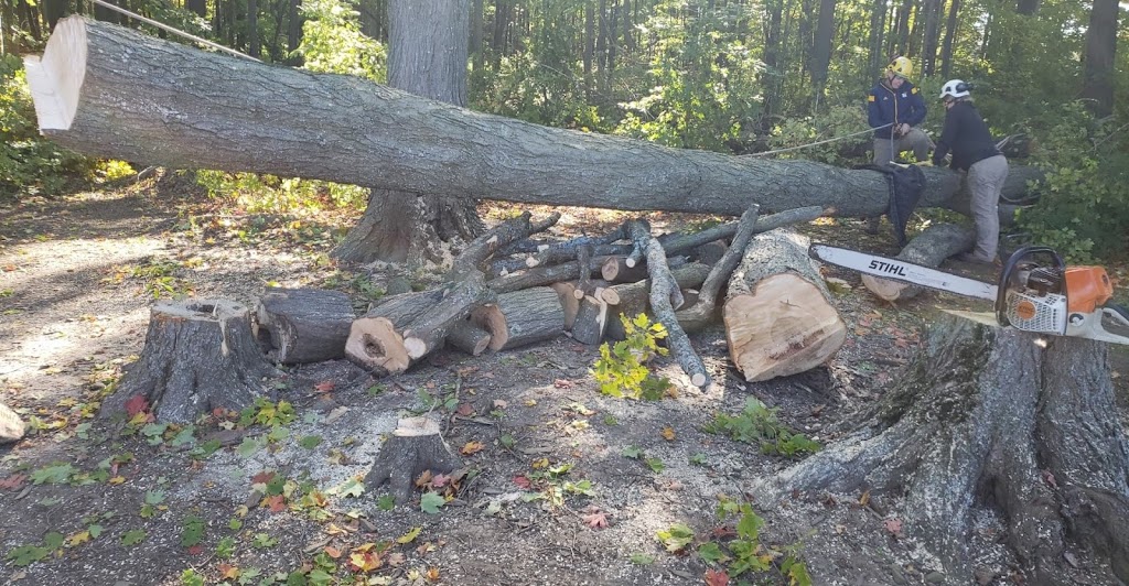 Branchbusters Expert Tree Care | 19625 Main St, Alton, ON L7K 0E1, Canada | Phone: (905) 859-4004