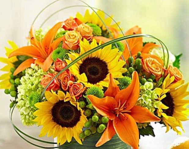 The Potty Planter And Friends | 250 Wincott Dr, Etobicoke, ON M9R 2R4, Canada | Phone: (416) 245-7300