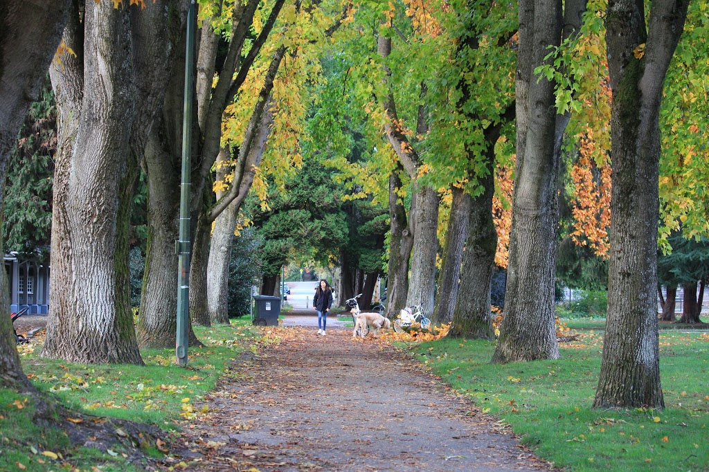 Memorial West Park | 4701 Dunbar St, Vancouver, BC V6S 2G8, Canada | Phone: (604) 873-7000