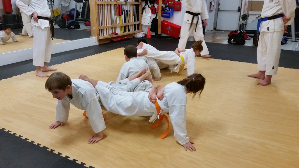 Mountain Martial Arts | 290 Barton St, Stoney Creek, ON L8E 2K6, Canada | Phone: (905) 664-6313
