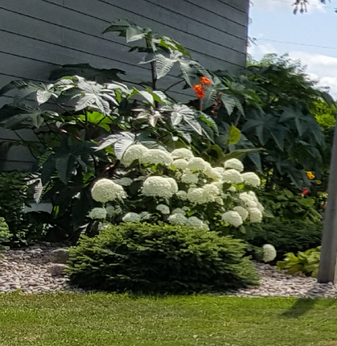 Milliken Landscaping | 1370 Scheel Dr, Braeside, ON K0A 1G0, Canada | Phone: (613) 623-8486