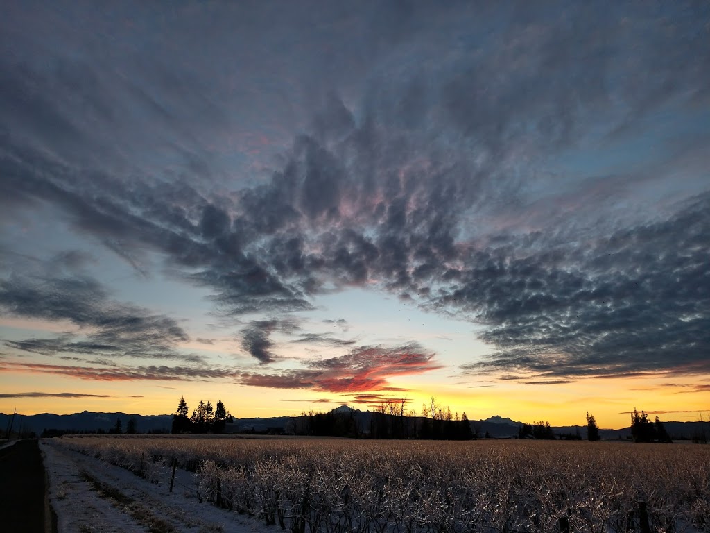 Pioneer Park Cooperative Housing Association | 27111 0 Ave, Aldergrove, BC V4W 2S9, Canada | Phone: (604) 856-6100