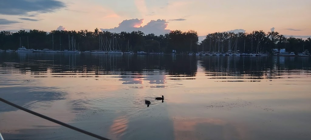 Hanlans Point mooring wall | 725 Lakeshore Ave, Toronto, ON M5J 2E9, Canada | Phone: (416) 203-3343