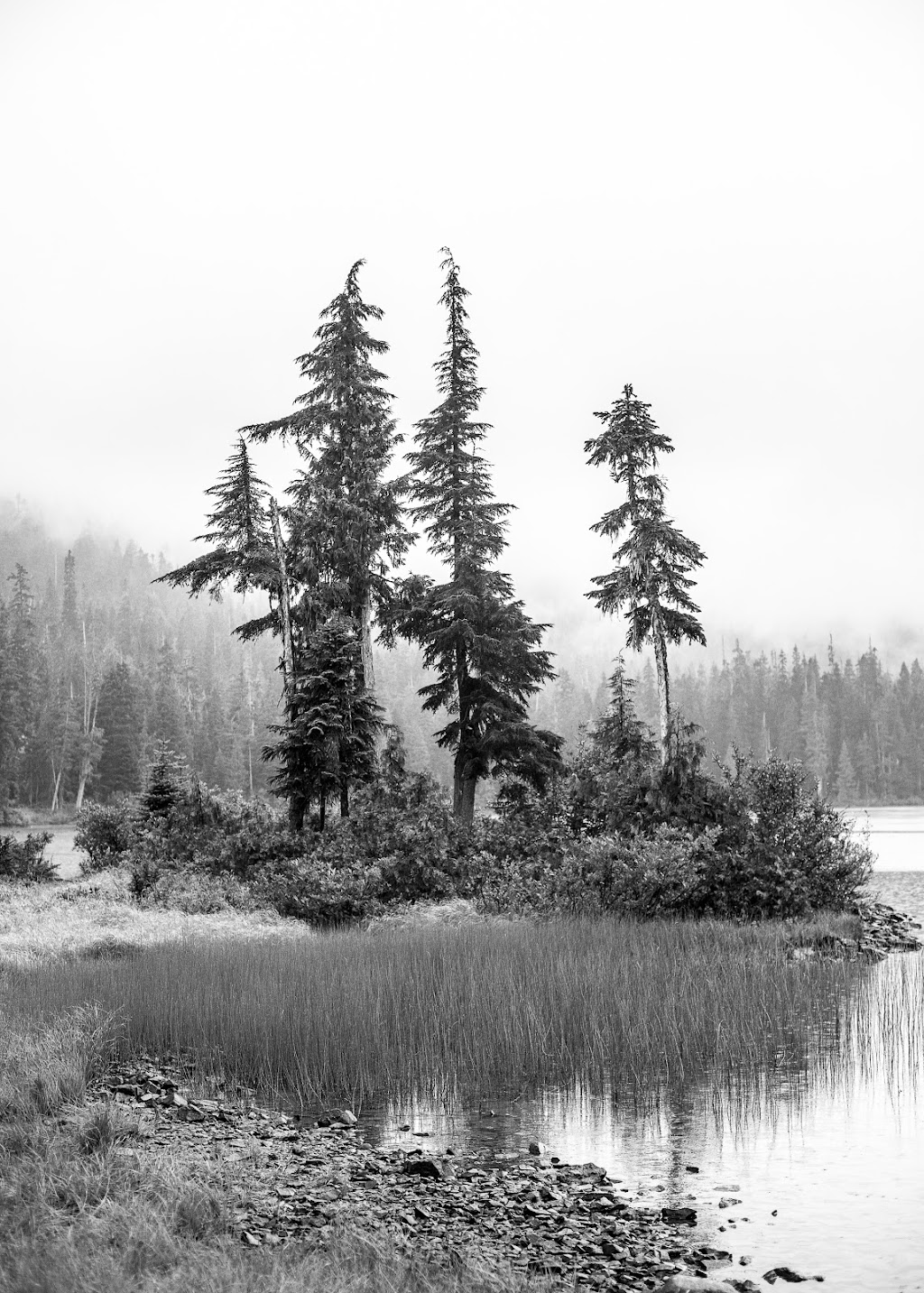 Kyle Graham Photography | 2007 Nordic Pl, Whistler, BC V0N 1B2, Canada | Phone: (604) 698-7810
