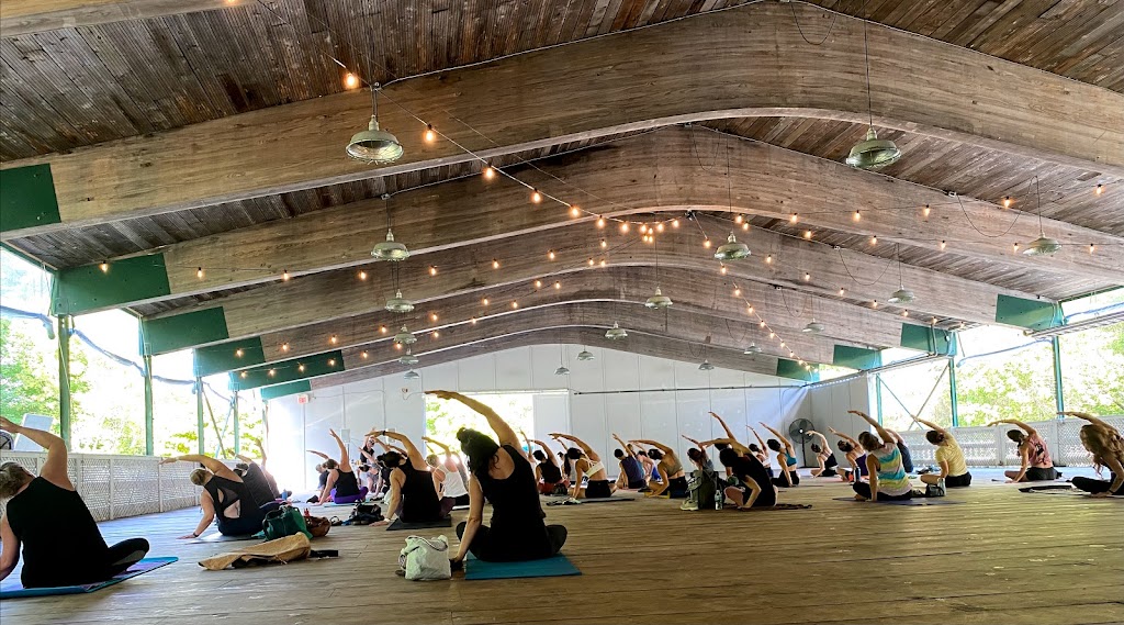 Serendipity Yoga | 29 Paul St, Picton, ON K0K 2T0, Canada | Phone: (416) 659-6448
