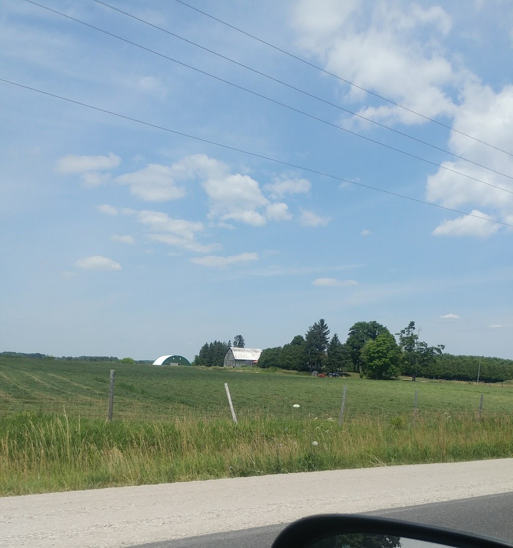 Maple Haven Farm | 54710 Heritage Line, Straffordville, ON N0J 1Y0, Canada | Phone: (519) 877-9066