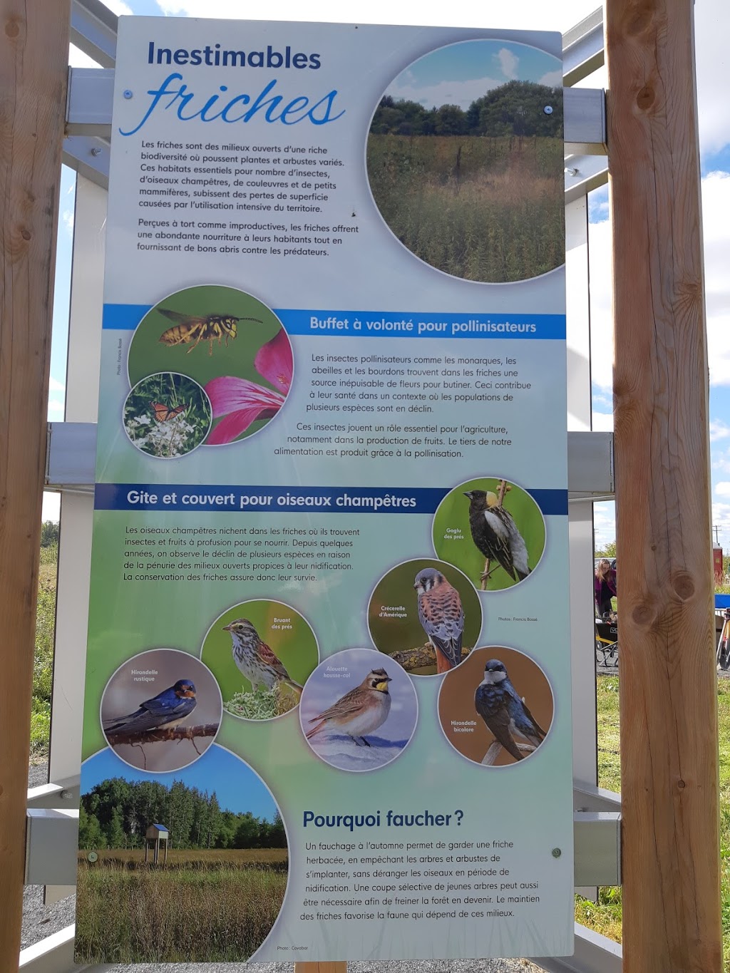 Parc Naturel des Parulines | 166 Chemin du Clocher, Saint-Jean-sur-Richelieu, QC J3B 7B2, Canada | Phone: (450) 359-2400