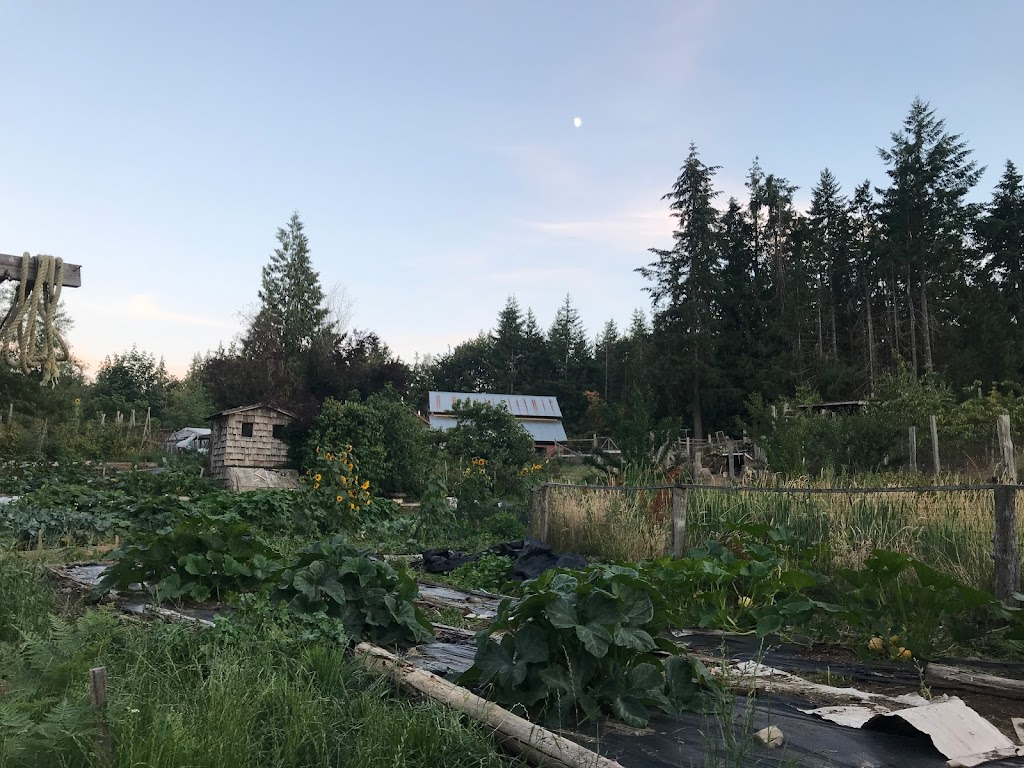 O.U.R. Ecovillage | 1565 Baldy Mountain Rd, Shawnigan Lake, BC V0R 2W2, Canada | Phone: (250) 743-3067