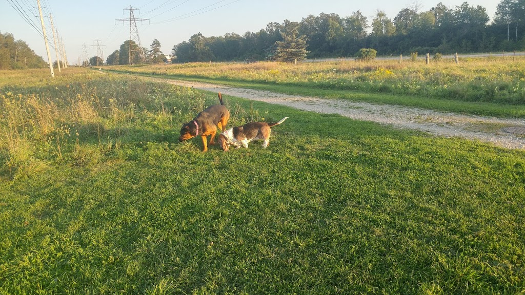 Off-Leash Dog Park | Hanlon Rd, Guelph, ON N1G, Canada