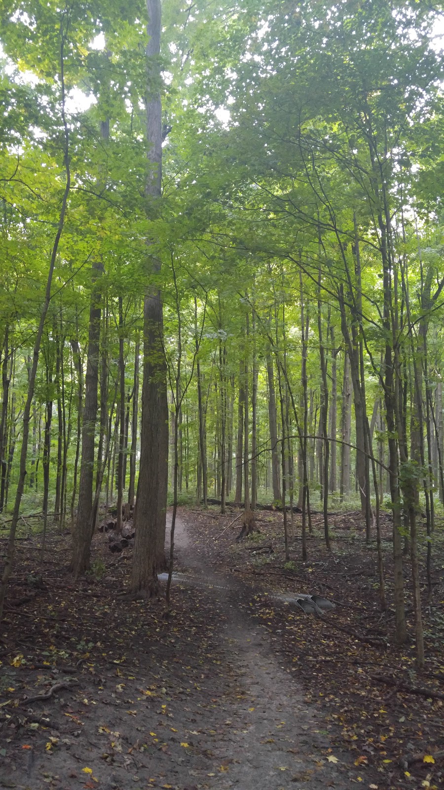 Thornhill Woods Park | 289 Thornhill Woods Dr, Thornhill, ON L4J 8Y5, Canada | Phone: (905) 326-8626