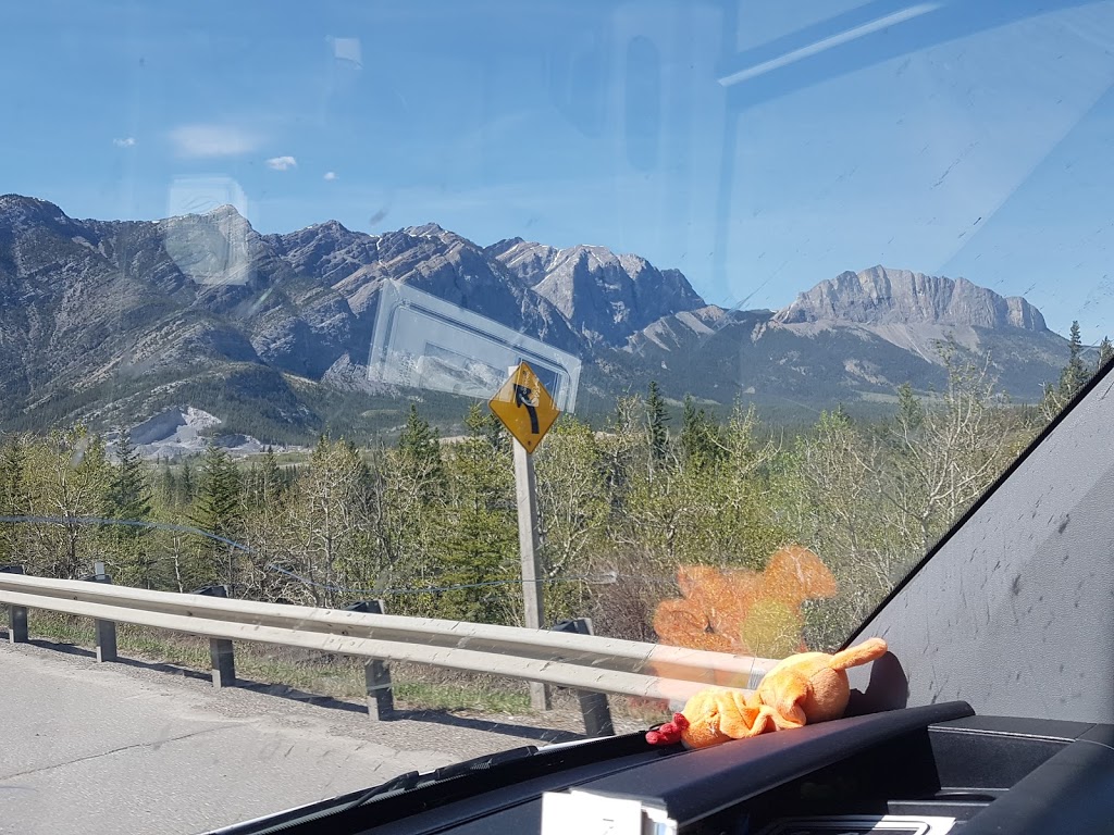 Canadian Wilderness School & Expeditions | 42 Lac Des Arcs Dr, Lac des Arcs, AB T1W 2W3, Canada | Phone: (780) 695-5141