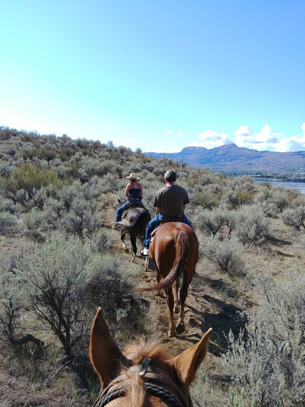 Indian Grove Riding Stables | 600 Rancher Creek Rd, Osoyoos, BC V0H 1V6, Canada | Phone: (250) 495-7555
