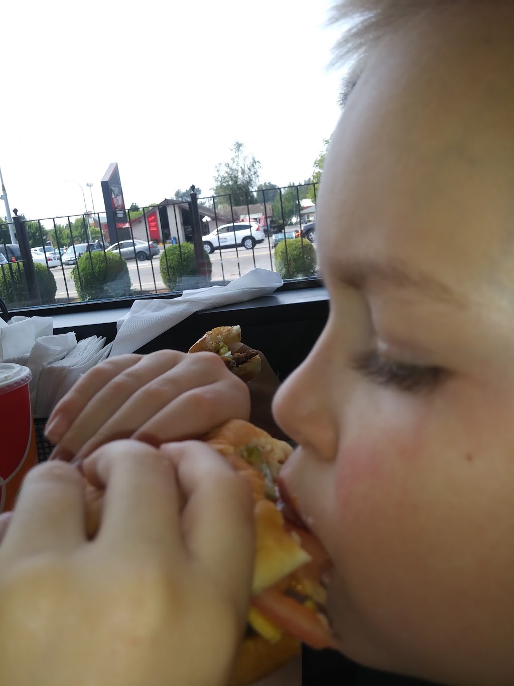 Dairy Queen | 8102 WA-539, Lynden, WA 98264, USA | Phone: (360) 354-2566