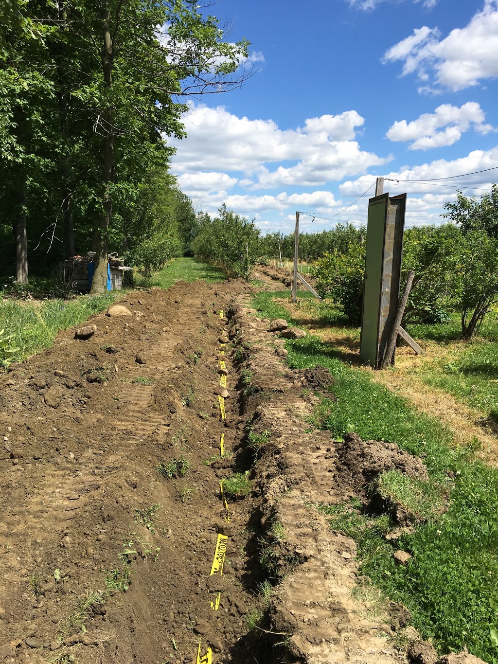 Jim Mini-excavation Inc. | 1644 Rue Principale, Granby, QC J2J 0S6, Canada | Phone: (450) 360-9669