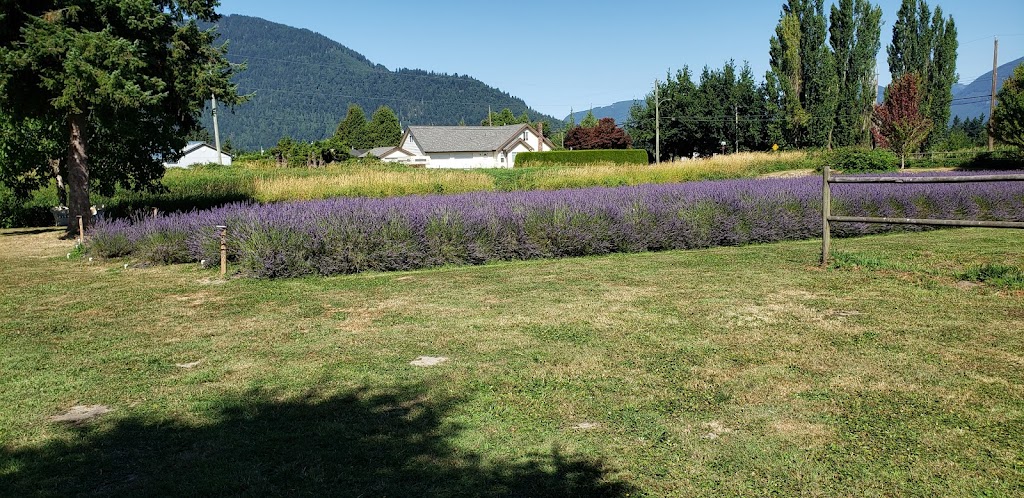 Greendale Lavender Company | 42050 S Sumas Rd, Chilliwack, BC V2R 4W3, Canada | Phone: (604) 615-2343