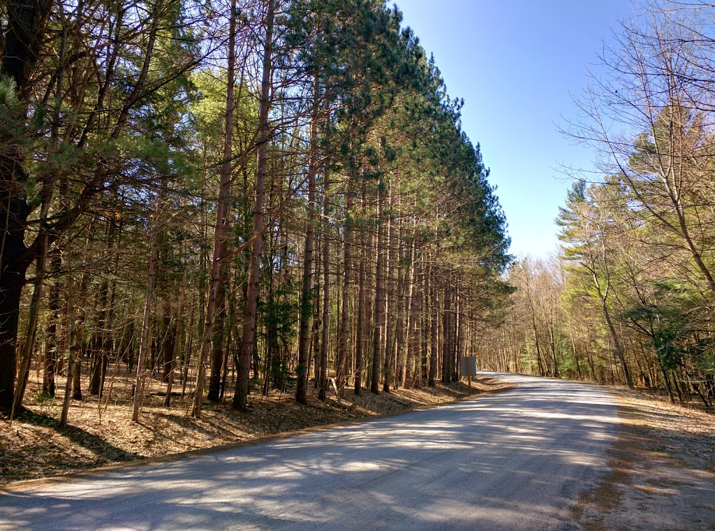 Ganaraska Forest Centre | 10585 Cold Springs Camp Rd, Campbellcroft, ON L0A 1B0, Canada | Phone: (905) 885-8173