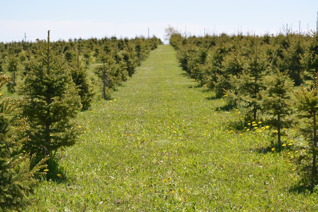 Tallboots Farm | 755 Newtonville Rd, Newtonville, ON L0A 1J0, Canada | Phone: (905) 786-2686