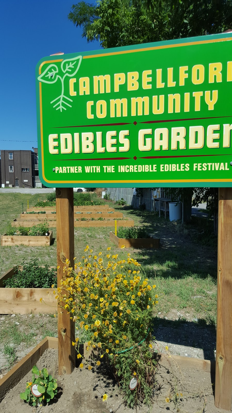 Campbellford Seymour Community Foundation | 39 Doxsee Ave N, Campbellford, ON K0L 1L0, Canada | Phone: (705) 653-2005