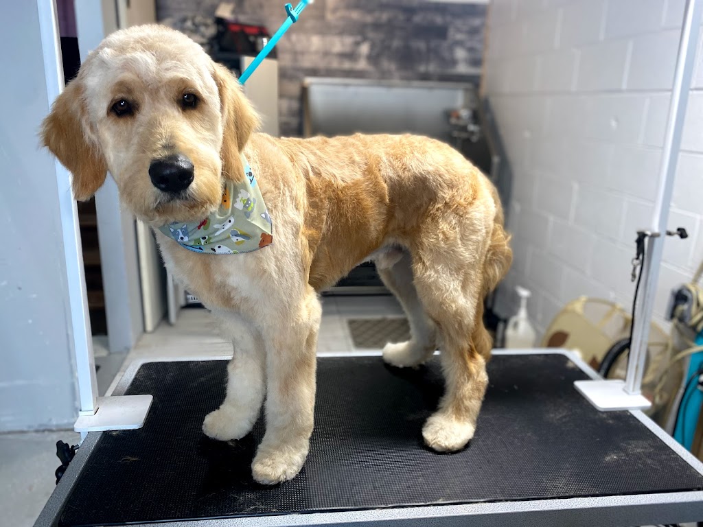 Canine Corner Grooming | 874 Krosno Blvd, Pickering, ON L1W 1H3, Canada | Phone: (416) 303-7734