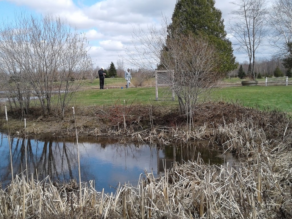 Club De Golf Laurier | 950 12e Rang O, Princeville, QC G6L 4K5, Canada | Phone: (819) 364-7861