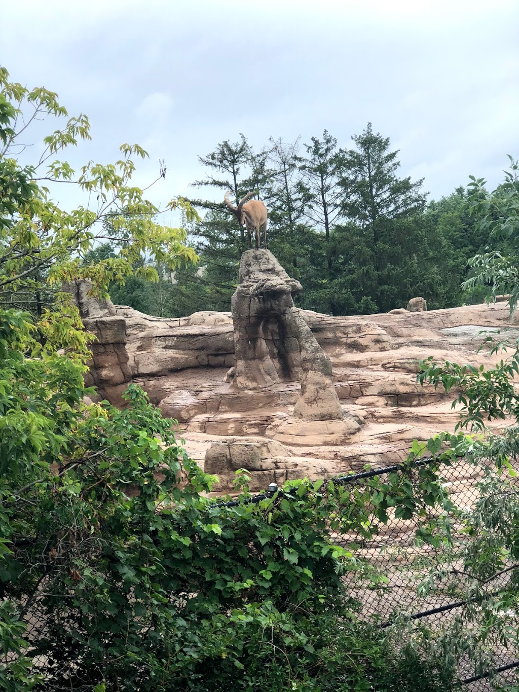African Rainforest Pavilion | 2000 Meadowvale Rd, Scarborough, ON M1B 5K7, Canada | Phone: (416) 392-5929