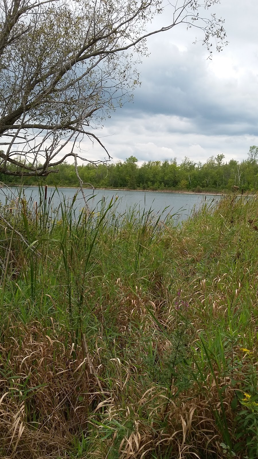 Quarry | 13744 County Rd 18, Ingleside, ON K0C 1M0, Canada