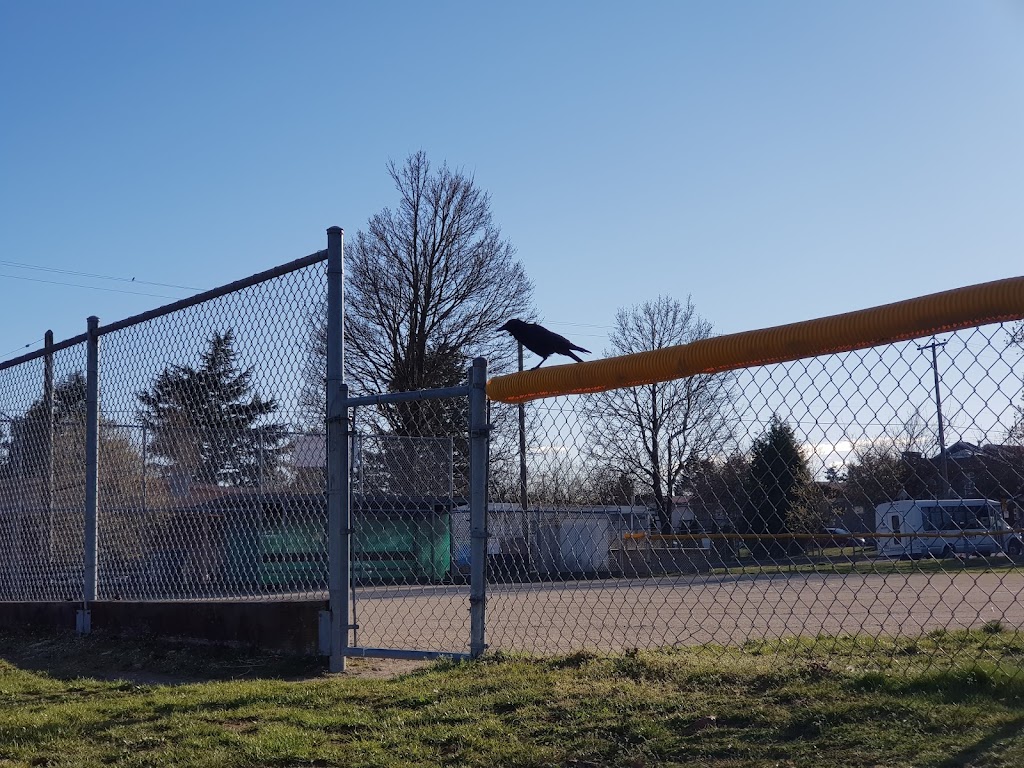 Vancouver Minor Baseball Association | Park, Ea 46th Avenue & Nanaimo St.,, Nanaimo St, Vancouver, BC V5S 1A2, Canada | Phone: (778) 875-2352