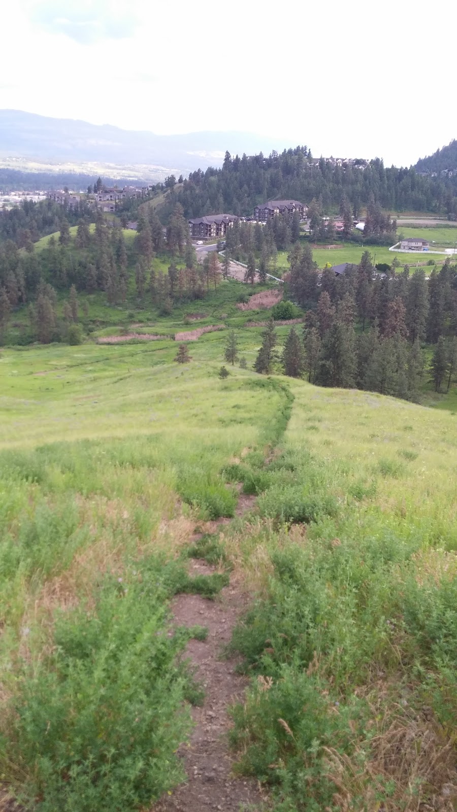 Lane Property Advisors Inc | 880 Christina Pl, Kelowna, BC V1V 1S2, Canada | Phone: (250) 712-9990