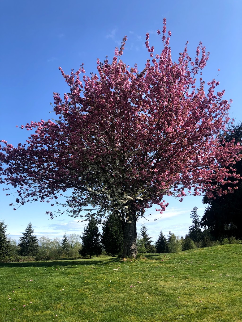 Blue Ocean Golf Club | 6177 Ripple Way, Sechelt, BC V7Z 0R2, Canada | Phone: (604) 885-2700