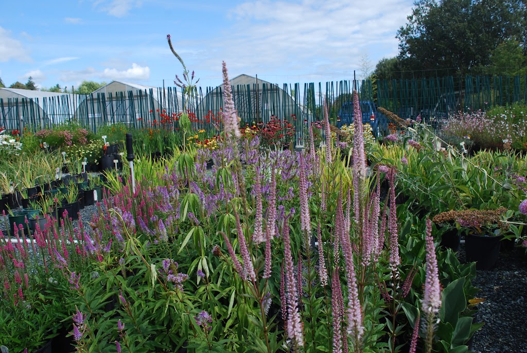 Lochside Nursery | 2716 Dooley Rd, Victoria, BC V8Y 1R7, Canada | Phone: (250) 544-3100