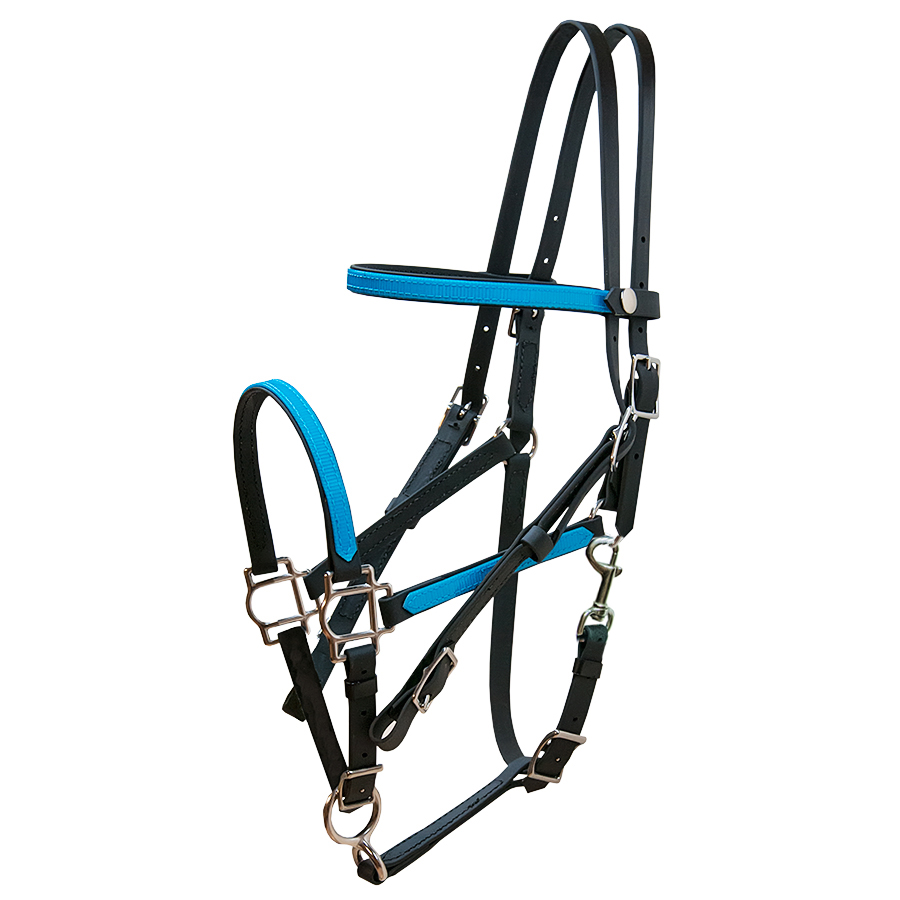 Great Leadsn Reins | 212 Old Orchard Road, Greater Napanee, ON K0H 1G0, Canada | Phone: (613) 832-9235