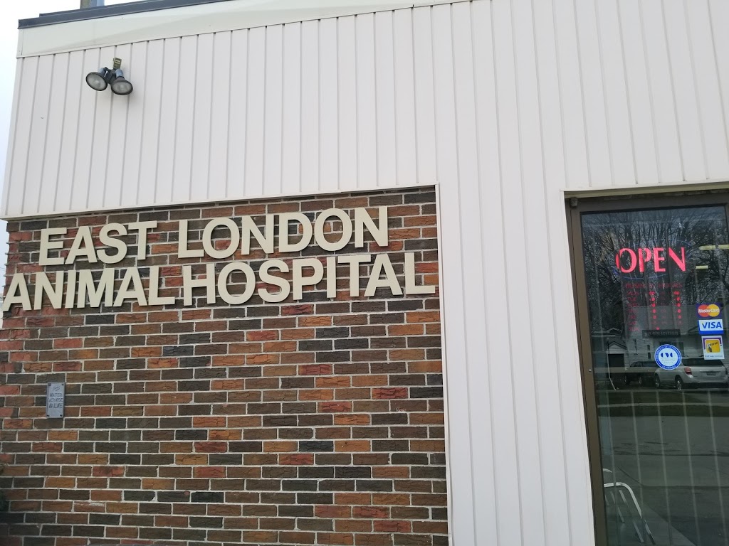 East London Animal Hospital | 417 Spruce, London, ON N5W 4P2, Canada | Phone: (519) 453-6030